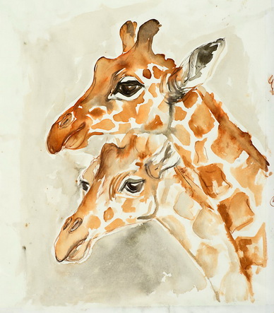 Margit König, Giraffen